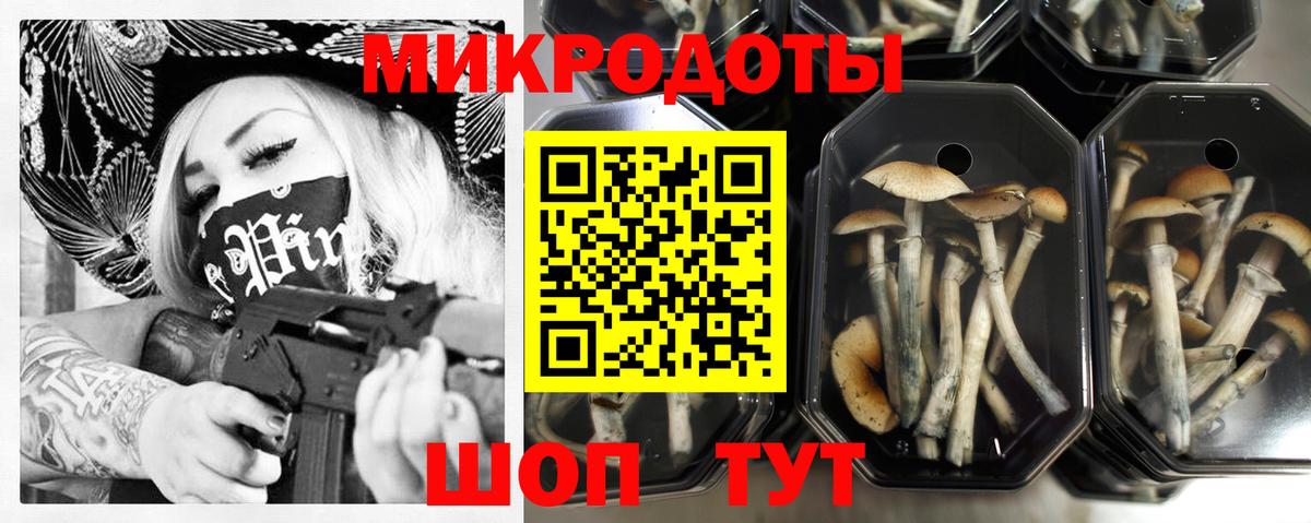 Псилоцибиновые грибы мухоморы  Вход с VPN  Галлюциногенные грибы мухоморы  Нерюнгри 